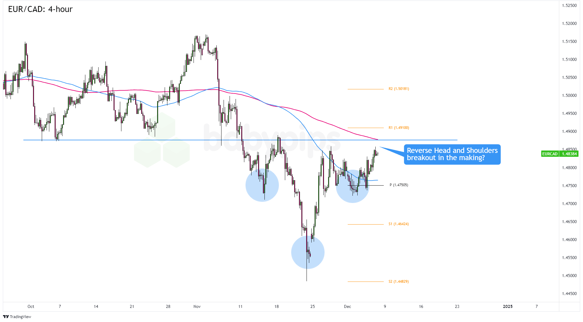 广东好物在2025全国名特优新农产品产销对接活动上实力圈粉